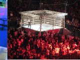 Shane Co., Genesis Diamonds to Settle Matters in Cage&nbsp;Match